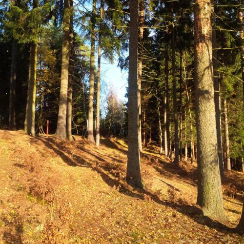 Lodge Hogo Fogo Kytlice