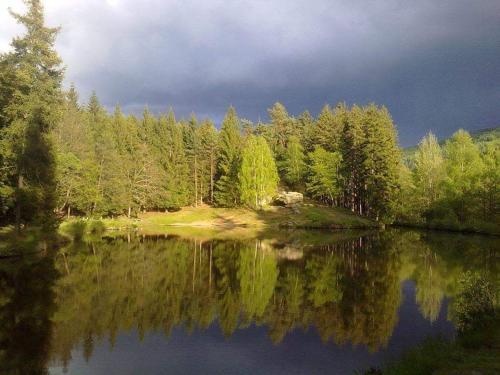 Lodge Hogo Fogo Kytlice