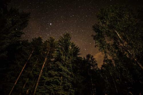 Lodge Hogo Fogo Kytlice