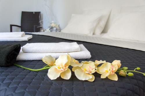 Apartm�ny Hradebn�