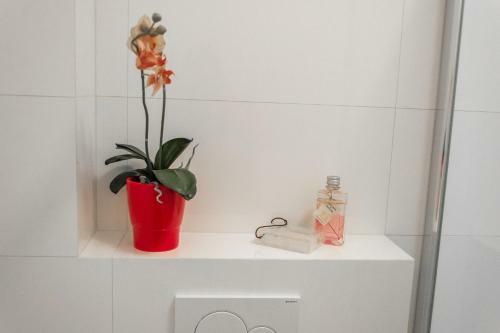 Apartm�ny Hradebn�