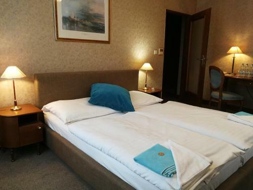 Hotel Villa Ostrava 3+