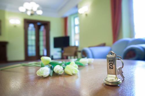 Hotel Villa Ostrava 3+