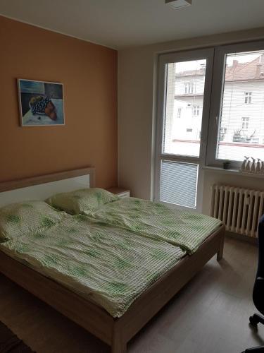 Penzion Alice - Apartm�n Kv�tkov�
