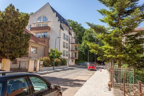 Central Premium Apartment