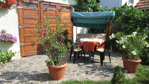 Garden City Apartment