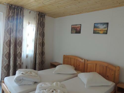 Hostal Pensiunea Iulia Sulina