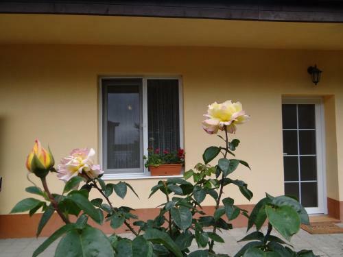 Garden Apartment