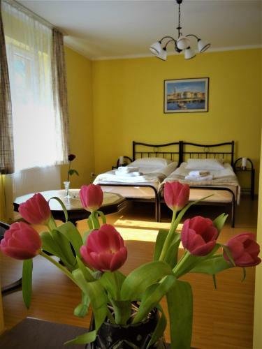 Garden Apartment