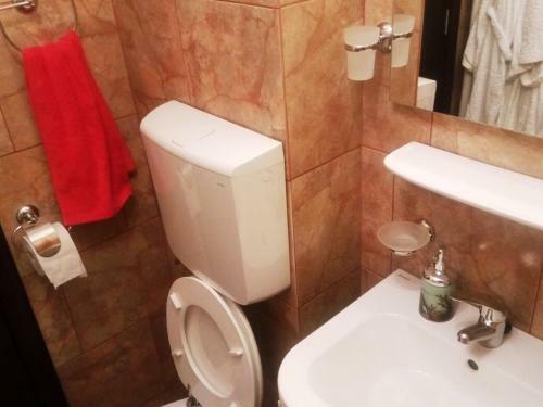 Apartament Dana "arhb Simetrie"