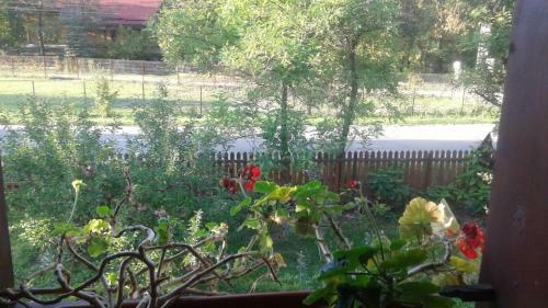 Hostal Pensiunea Letitia