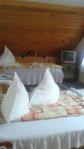 Hostal Pensiunea Letitia