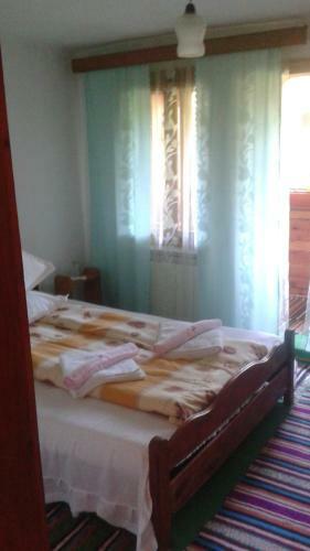 Hostal Pensiunea Letitia