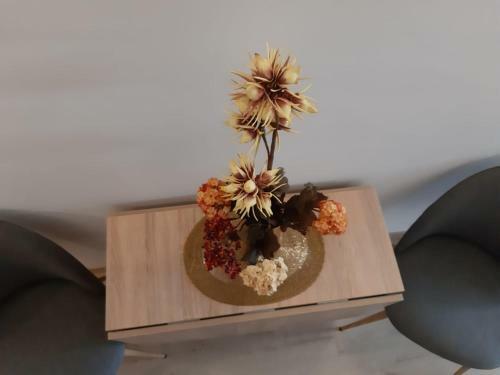 Apartamentos Studio Montana