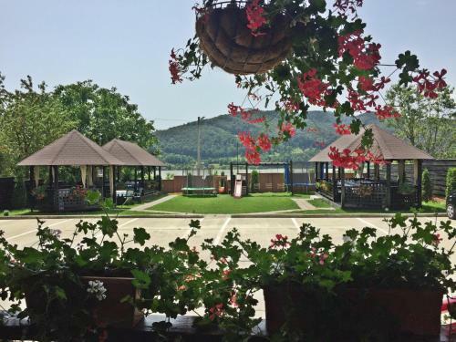 Hostal Pensiunea Camena