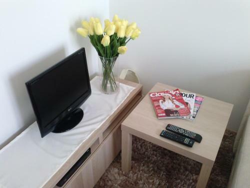 Apartament Dzialynskich 9