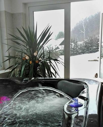 Apartamentos Chata Eli?ka