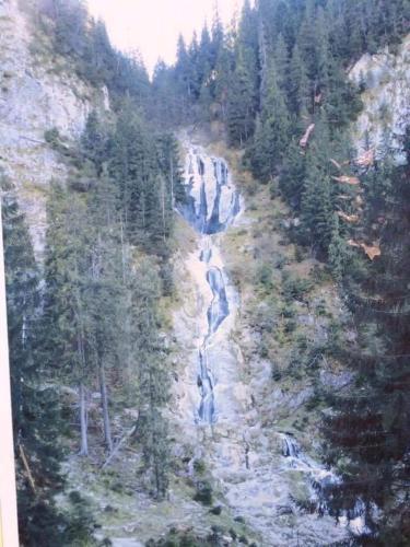 Lodge Cabana Din Varf