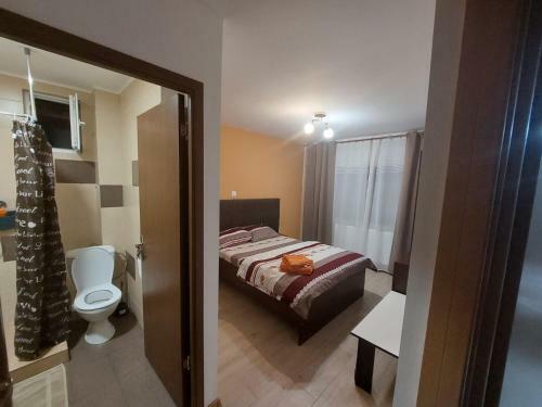 Hostal Casa Dumitrescu