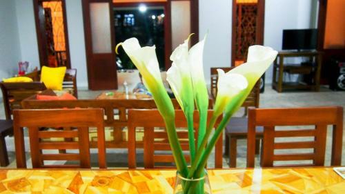 Hostal Richmond Hill Villa