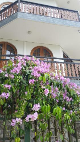 Hostal Waldhaus Kandy