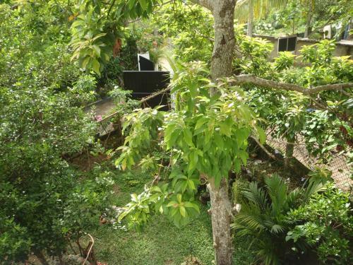 Bed & Breakfast New Jaya Villa