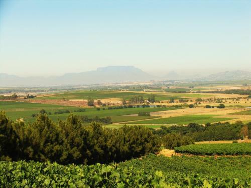 Agroturismo Laibach Vineyards