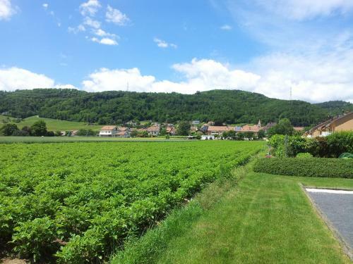 Bed & Breakfast Bnb Bursins