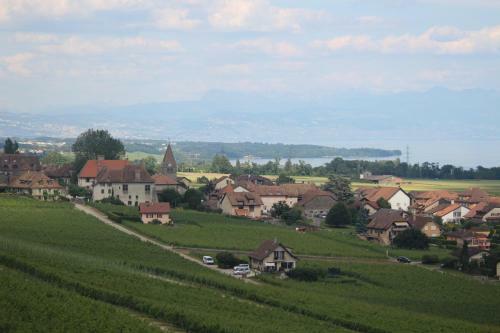 Bed & Breakfast Bnb Bursins