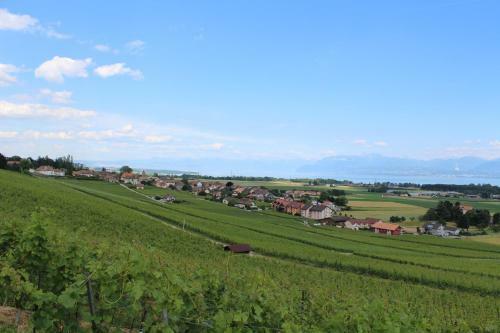 Bed & Breakfast Bnb Bursins
