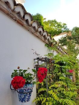 Bed & Breakfast Carmen Del Cobertizo