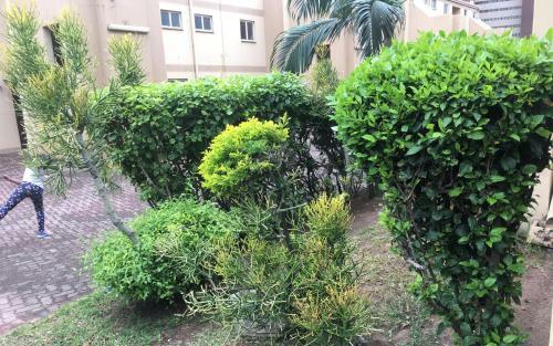 Apartamento Summersands