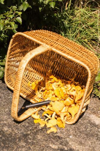 Sel�ter Camping