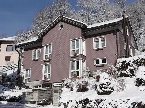 Apartamento Barmettlenstrasse 26