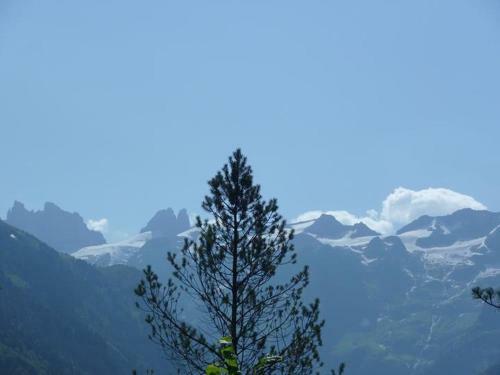 Apartment Am D�rrbach 4