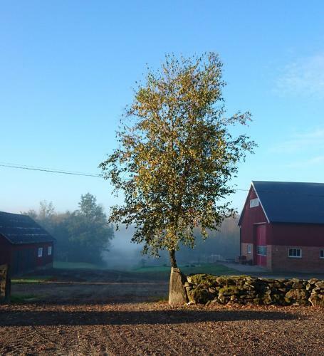 G�llareds Bed & Breakfast