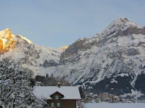 Mittelhorn