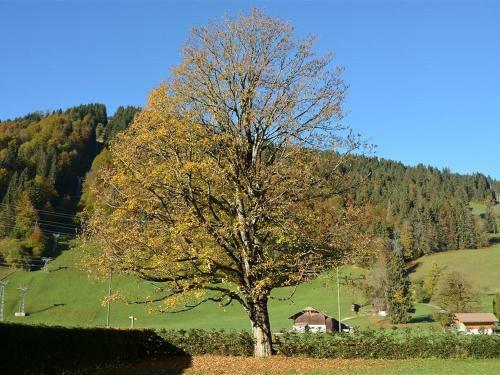 Apartamento Oberland Nr. 2 (neu Oberland Nr. 19)