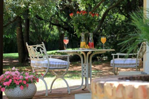 Bed & Breakfast Andante Lodge