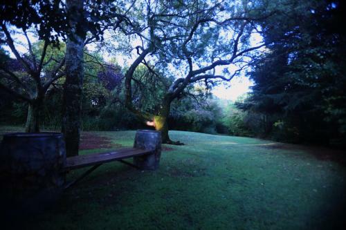Bed & Breakfast Andante Lodge