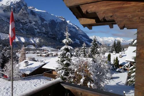 Apartamento Ferienwohnung Chalet Bergblume