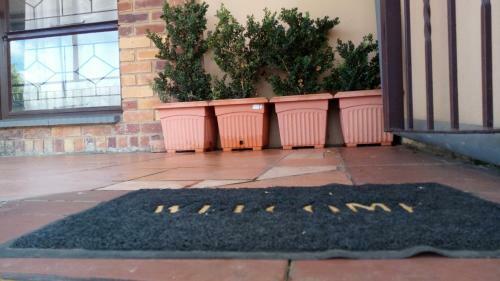 Apartment 1233 On Webb