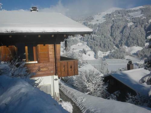 Apartment Nordica