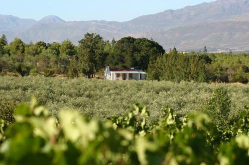 Fraaigelegen Farm Tulbagh