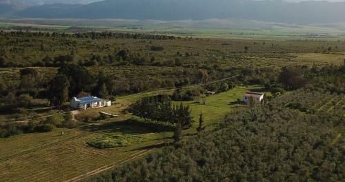 Fraaigelegen Farm Tulbagh