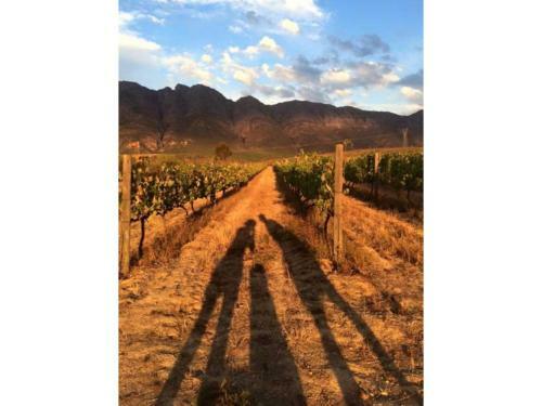Fraaigelegen Farm Tulbagh