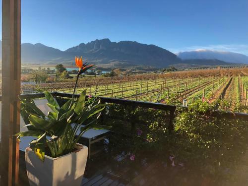 Agroturismo Wellington Country House