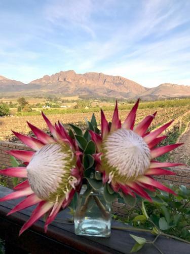 Agroturismo Wellington Country House