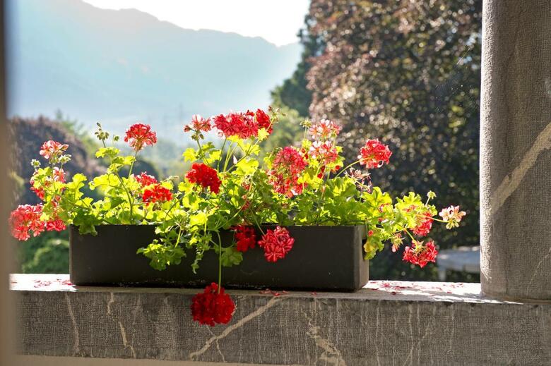Silence Hotel Schloss Ragaz
