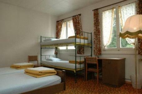 Hostal Funny-farm Backpackers/hotel